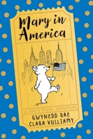 Mary Plain Goes to America 1405281251 Book Cover