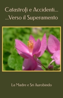 Catastrofi e Accidenti... Verso il Superamento B08BW8KWWF Book Cover