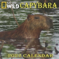 CAPYBARA CALENDAR 2022: CAPYBARA calendar 2022 "8.5x8.5" Inch 16 Months JAN 2022 TO APR 2023 finished and Glossy B093RWX6BF Book Cover