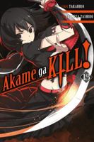 Akame ga KILL!, Vol. 13 0316473359 Book Cover