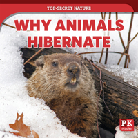 Why Animals Hibernate 1725317559 Book Cover