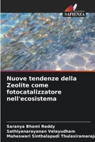 Nuove tendenze della Zeolite come fotocatalizzatore nell'ecosistema 6204643061 Book Cover