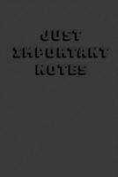 Just important notes notebook 1678684961 Book Cover