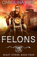 Felons 1989827349 Book Cover