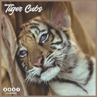 Tiger Cubs 2021 Calendar: Beautiful Tiger Cubs - 2021 Calendar 8.5" x 8.5" - glossy finish B08LS3TFHB Book Cover