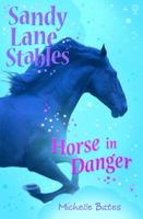 Horse in Danger (Sandy Lane Stables) 079452530X Book Cover