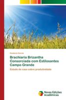 Brachiaria Brizantha Consorciada com Estilosantes Campo Grande: Estudo de caso sobre produtividade 6139651220 Book Cover