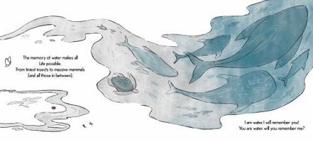 Water Remembers a picture book B0DQF4C4L8 Book Cover