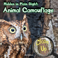 Hidden in Plain Sight 1627177574 Book Cover