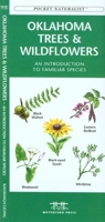 Virginia Trees & Wildflowers: An Introduction to Familiar Species (Pocket Naturalist - Waterford Press) 1583552502 Book Cover