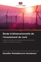 Étude tridimensionnelle de l'écoulement du vent (French Edition) 6208209749 Book Cover