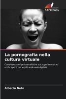La pornografia nella cultura virtuale 6207386000 Book Cover