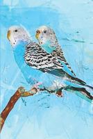 Parakeet Journal: Diary and Notebook for Budgie and Bird Lovers 1793377324 Book Cover