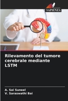 Rilevamento del tumore cerebrale mediante LSTM (Italian Edition) 6209009018 Book Cover