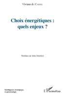 Choix énergétiques : quels enjeux? (Intelligence Stratégique Et Géostratégie) (French Edition) 2343042357 Book Cover