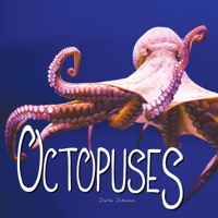 Octopuses 1683424239 Book Cover