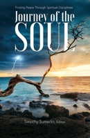 The Soul Journey 1953623867 Book Cover