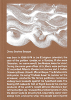 Dineo Seshee Bopape B09Y48Y48V Book Cover