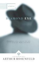 DIAMOND EYE : A Max Diamond Novel 0765309092 Book Cover