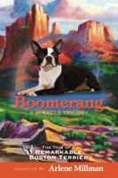 Boomerang - A Miracle Trilogy: The Tale of a Remarkable Boston Terrier 1932245014 Book Cover