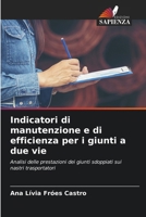 Indicatori di manutenzione e di efficienza per i giunti a due vie (Italian Edition) 6209762743 Book Cover