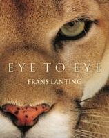 Eye to Eye 382287745X Book Cover