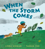 When the Storm Comes 039954609X Book Cover