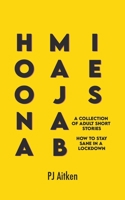 Hoonamajabies - A Collection of Adult Short Stories: How to Stay Sane in a Lockdown 1037104706 Book Cover