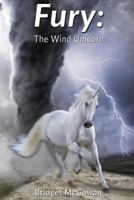 Fury: The Wind Unicorn 1539955346 Book Cover