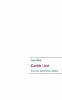 Davids Lied: Gedichte - Geschichten - Gebete 3839133246 Book Cover