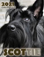 Scottie 2021 Calendar 1713901064 Book Cover