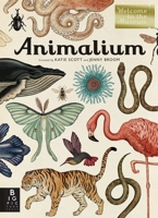 Animalium 1783706112 Book Cover
