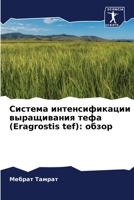 Система интенсификации & 620529091X Book Cover
