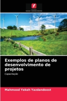 Exemplos de planos de desenvolvimento de projetos 6203330930 Book Cover