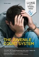 The Juvenile Court System 1422230384 Book Cover