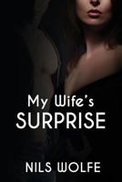 My Wife's Surprise Bundle 1722127546 Book Cover