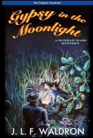 Gypsy in the Moonlight 1329453751 Book Cover