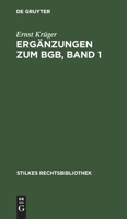 Ergänzungen zum BGB, Band 1 3112359356 Book Cover