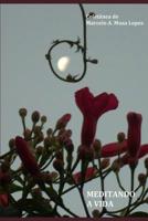 Meditando a Vida 108082197X Book Cover