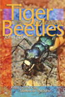 Tiger Beetles of Alberta: Killers on the Clay, Stalkers on the Sand (Alberta Insects Series) 0888643454 Book Cover