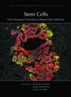 Stem Cells 1621823393 Book Cover