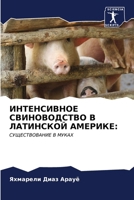 ??????????? ???????????? ? ????????? ??? 6207069331 Book Cover