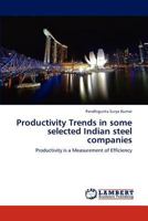 Productivity Trends in some selected Indian steel companies: Productivity is a Measurement of Efficiency 3846539635 Book Cover