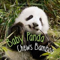 Baby Panda Chews Bamboo 1454927402 Book Cover