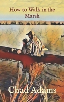 How to Walk in the Marsh B0BKRZQTGZ Book Cover