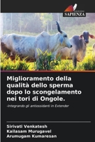 Miglioramento della qualità dello sperma dopo lo scongelamento nei tori di Ongole. (Italian Edition) 6208501881 Book Cover