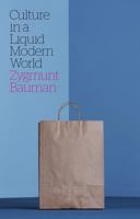 Culture in a Liquid Modern World 0745653553 Book Cover