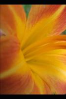 Farcical, Passionate Poetry Eleventh Edition 1794046976 Book Cover