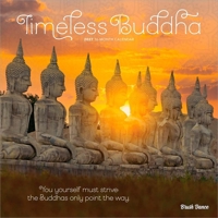 Timeless Buddha 2027 12 X 24 Inch (Hanging) Monthly Square Wall Calendar Plastic-Free B0GH8SYQ4V Book Cover