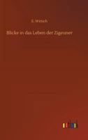 Blicke in das Leben der Zigeuner (German Edition) 3337198708 Book Cover